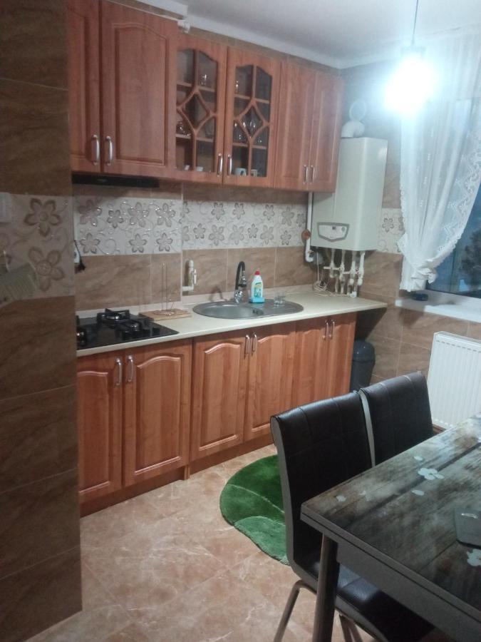 Apartament Bia Lupeni  Extérieur photo